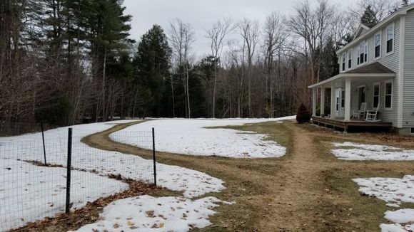 Front yard, with snow-thrower made doggy trails