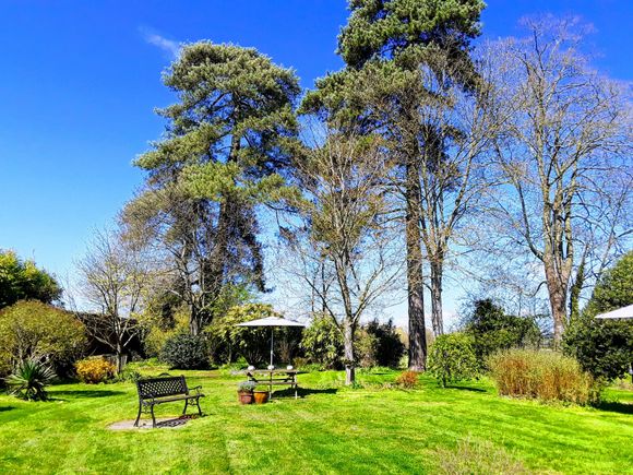 Back lawn