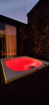 The hot tub. Looks cool, but it's only 1.6 feet deep.