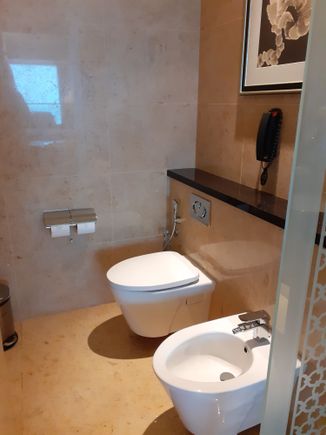 The WC and bidet ( no door between here and bathroom)