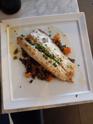 Trout
