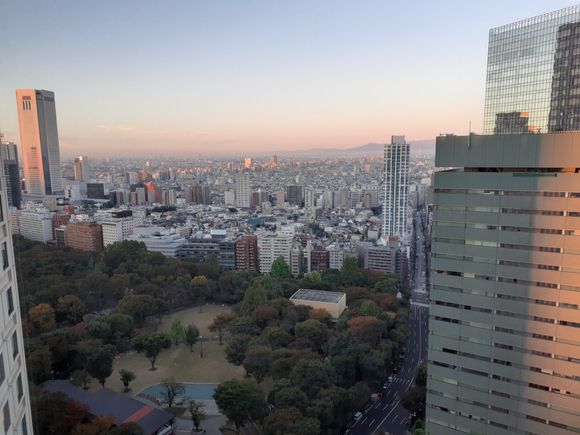 View from  rm 3505 at the Hilton tokyo facing the Shinjuku city park