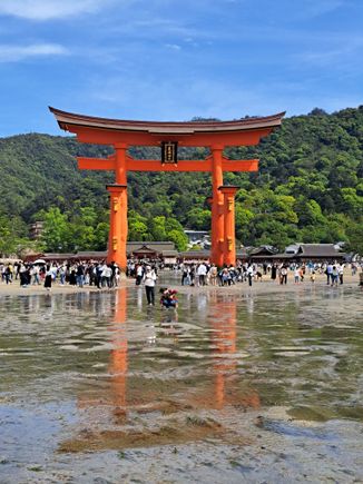Looking back towards the island and the  shrine from the sea side of the torii gate @1430 ( low tide)