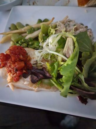Halibut