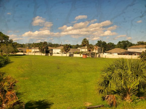 Florida green!
