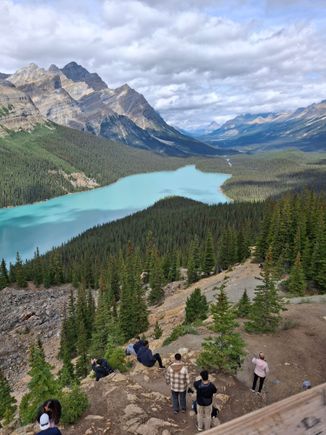Peyto Lake (looks like a wolf)