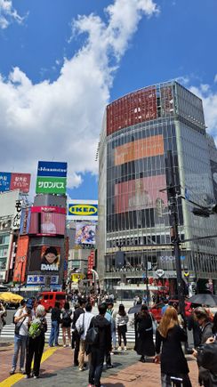Shibuya scramble crossing at daytime. Night us a lot better ime