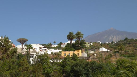 Teide. 