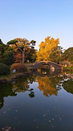Sumiyoshi park in the late afternoon sun ( sunset around 1640)