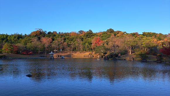Main pond in the japanese garden