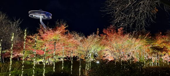 Trees were illuminated and rising above it is  Island Fuji ( observation deck - extra charge Y800 iirc)