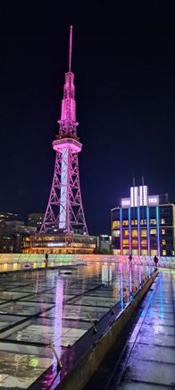 On top of the Water space ship ( pond in the middle) looing at the Mirai tower ( 180m tall with an observation deck at 100m) . Very nice