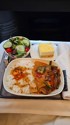 SEA-TPE
Pre-Landing curry dish was good. SPICY!