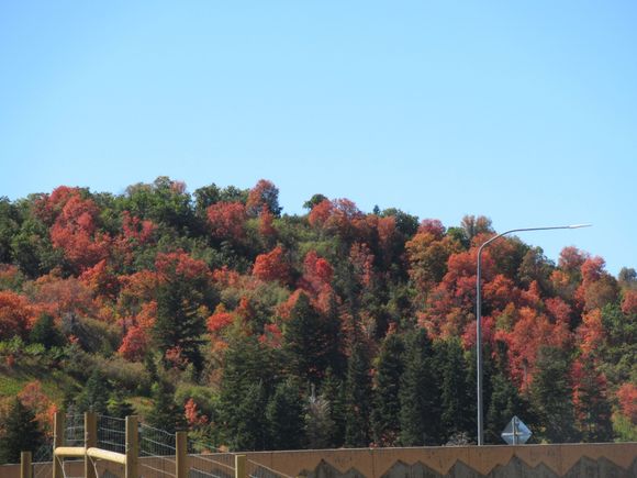 Park City, Utah Fall Colours 26th September 2019