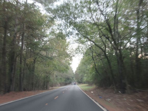 Wooded area outside Leeds, Alabama
