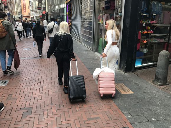 Amsterdam:
Summer 2022 
Life returns for all birds of a feather!