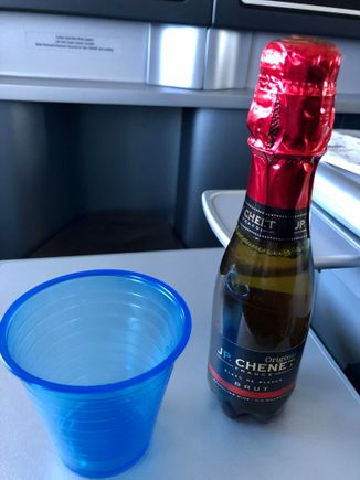 I ordered a glass of sparkling wine. This France JP. Cheney was literally the worst glass of wine I have, possibly, ever had.