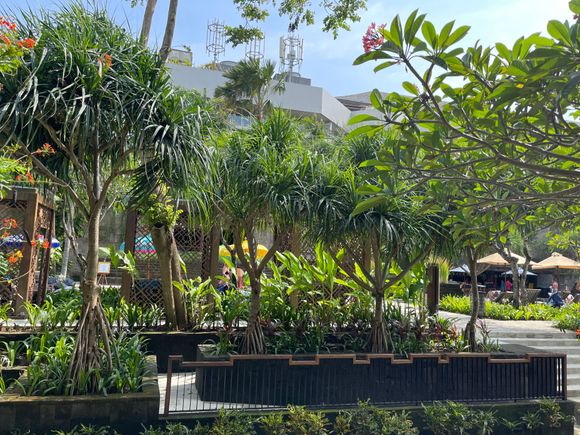 View from courtyard/ pool room 