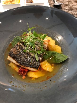 Fish 