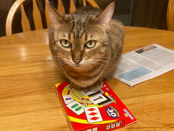 This is mine lady!