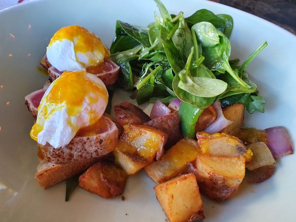 Ahi benedict, with hot sauce instead of hollandaise. (At least they had the range of HI Spice hot sauces! Try the smoked scorpion, the raspberry ghost pepper, and the turmeric ginger; the jalapeno lime is also good if you like mild salsa verde)

