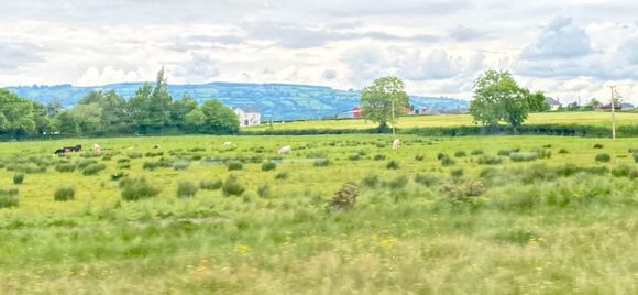 Gorgeous view from the train. 