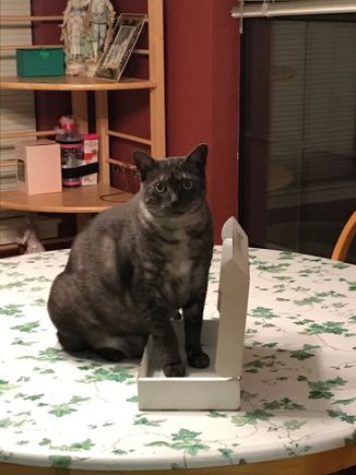 I fits!