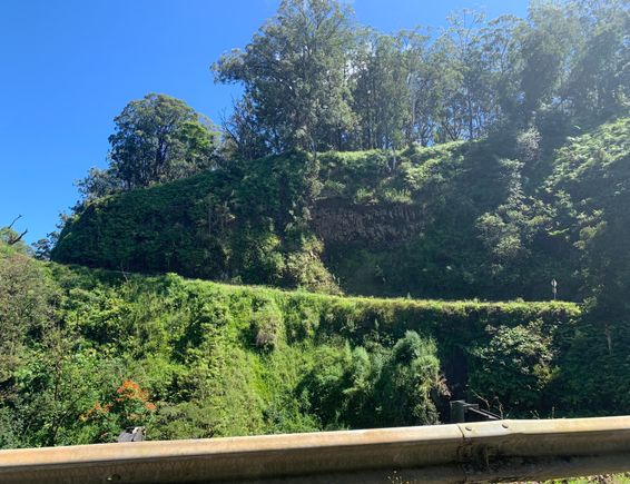 a lot more elevation gain than we were expecting
