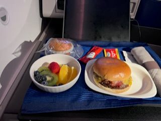Pre-arrival burger was  served on a rock hard bun and different than I remember it from a few years ago. This patty looked like a frozen burger patty (flat) and I remember the patty of the past being somewhat more “homemade”looking and much tastier. 
