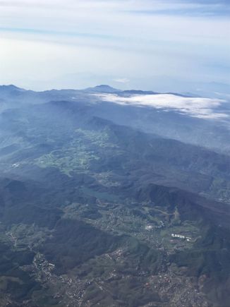 Think these look like tea plantations?