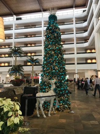 Lobby decorations
