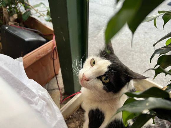 Oh hello there