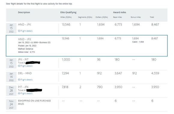 Mileage summary on AAdvantage page