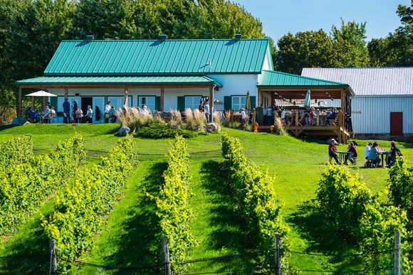 And the winery and terrace.