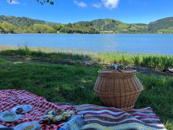 Picnic time!  
