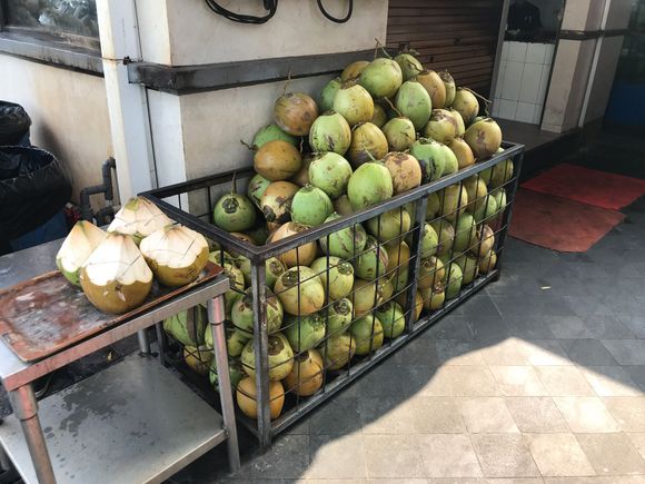 Fresh coconut : kelapa muda