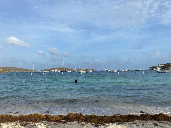 Cowpet Bay