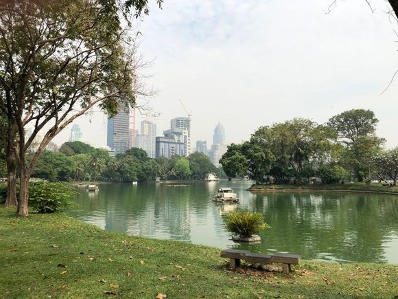 Lumphini park.