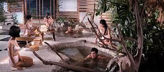 Japanese "onsen" in Tiger Tanaka's house