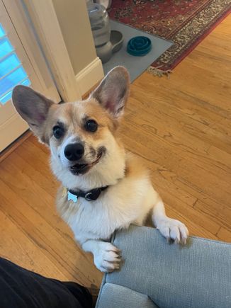 What is it mom!?!