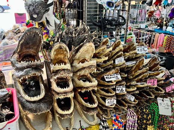 Plenty of more Cajun photos from this trip! 😆 