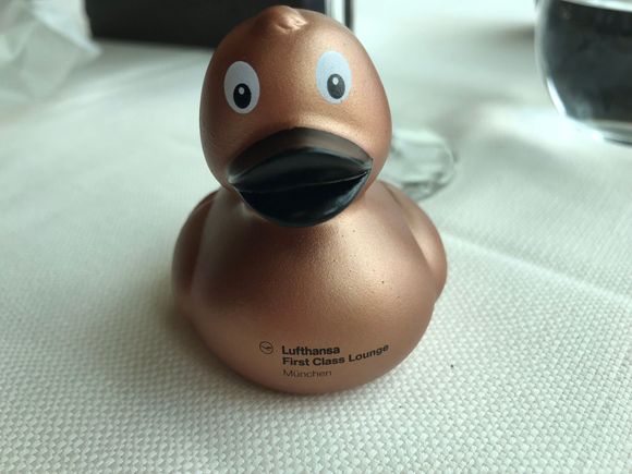 New MUC Duck