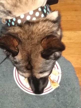 Grace eating her cake