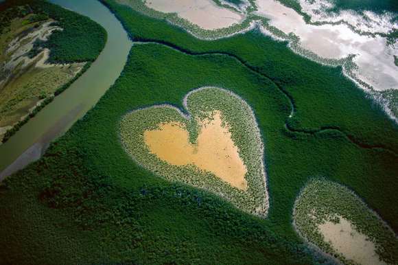 Coeur de Voh, taken by Yann Arthus Bertrand