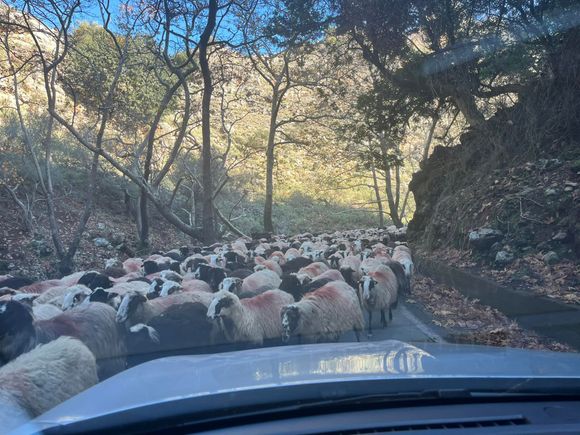 Some Traffic 
