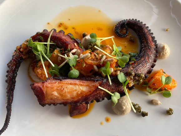 Spanish Octopus - texture was not as good as other octopus that we have had, but good flavors.