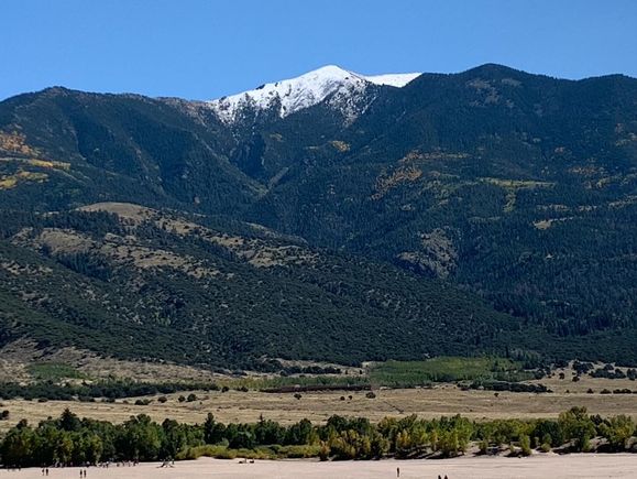 Pops of gold and white peaks. 