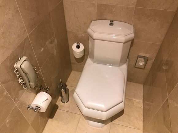 Toilet - note it hasn't got a hygiene stick