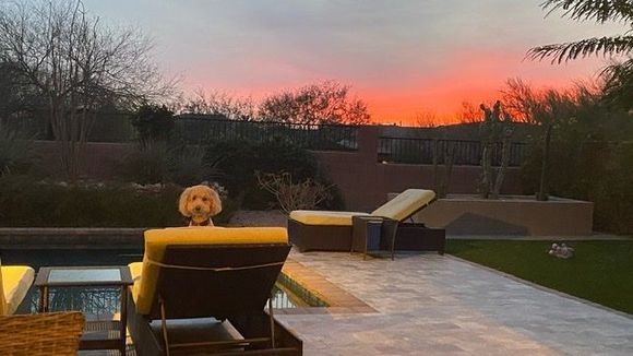 This is Poppy’s sister, Sunny. So, we’ll call this “Sunny and Sunset”
