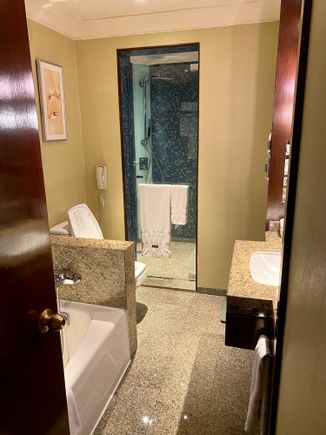 deluxe suite bathroom